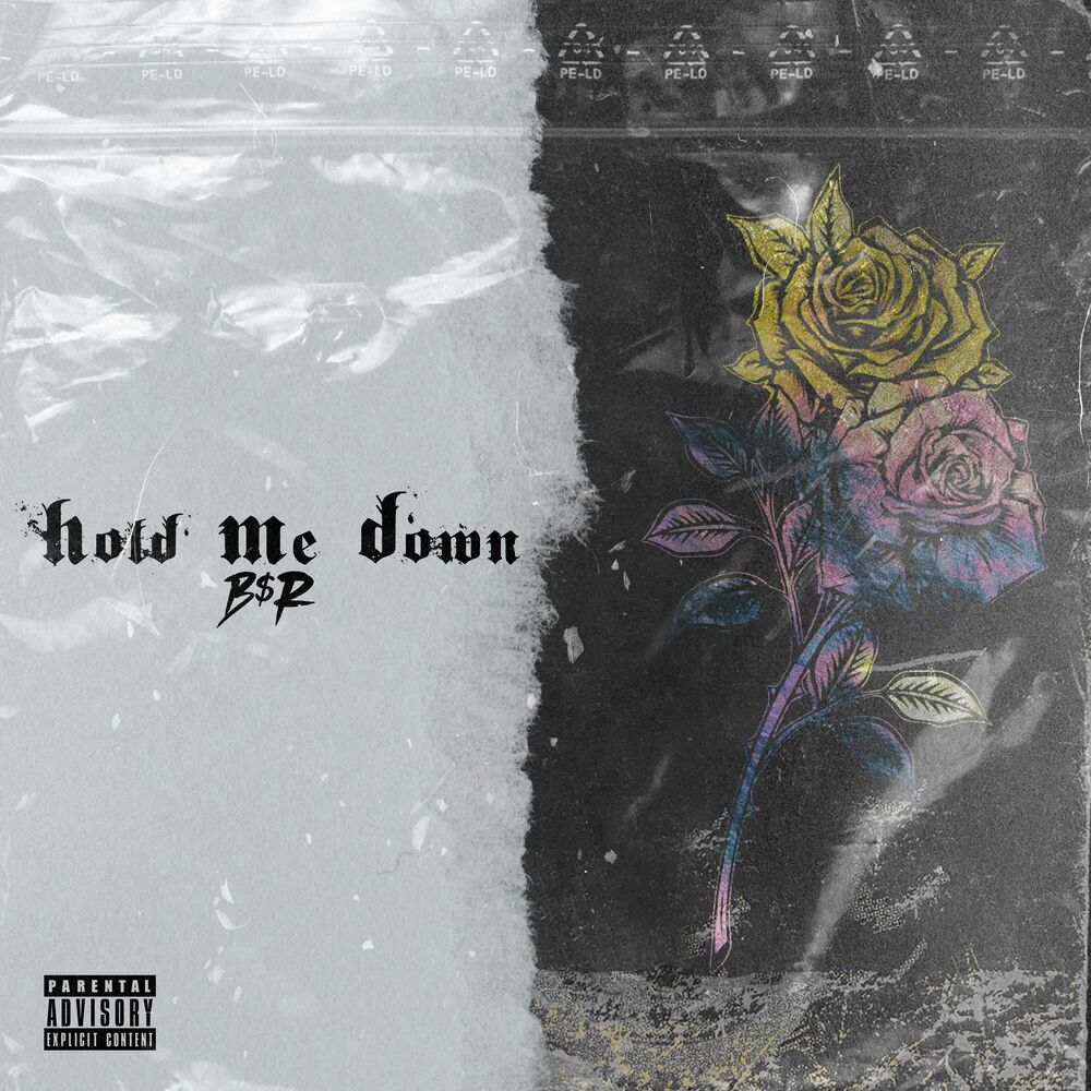 Picture of Hold Me Down