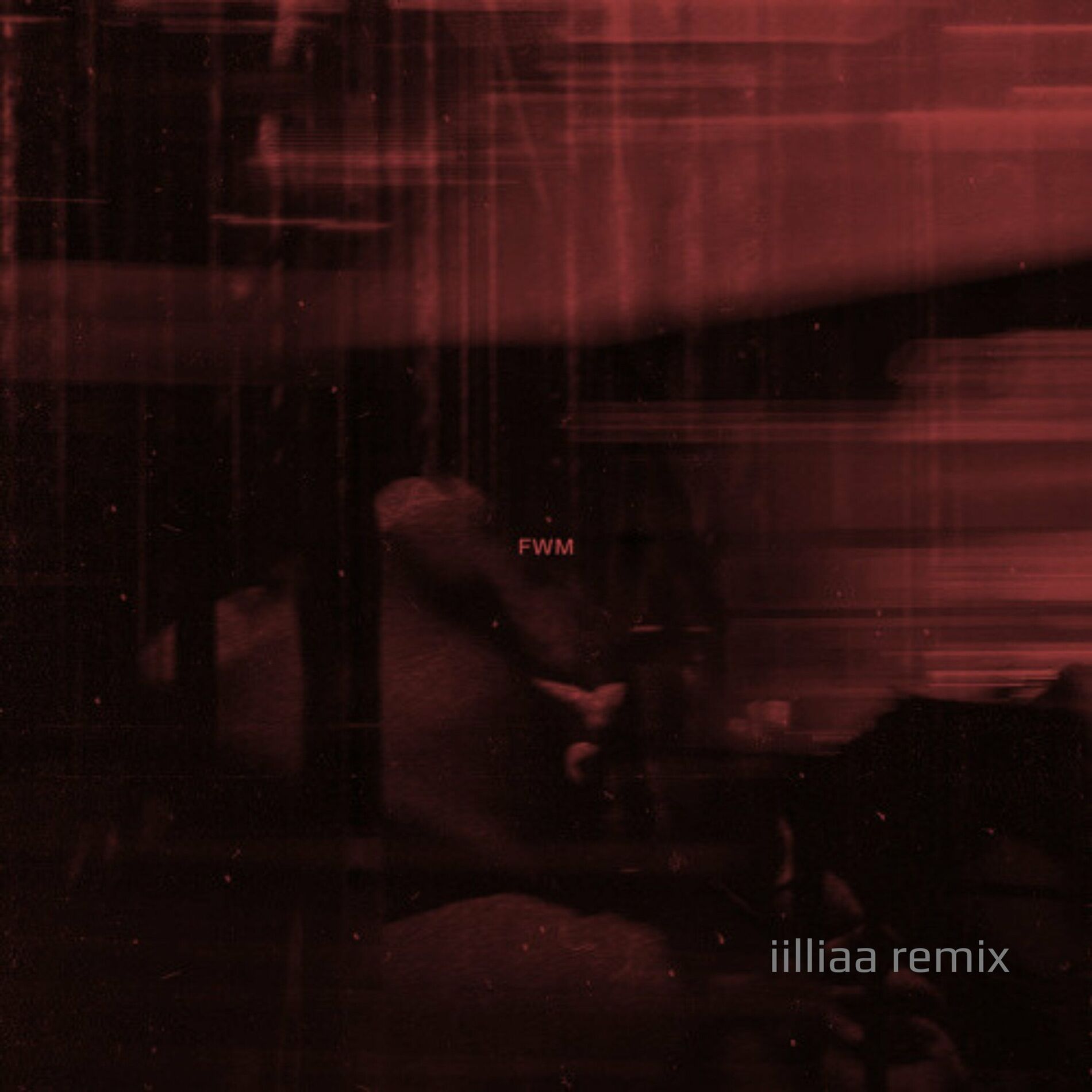 Album cover of FWM (Not Really Me) iilliaa Remix