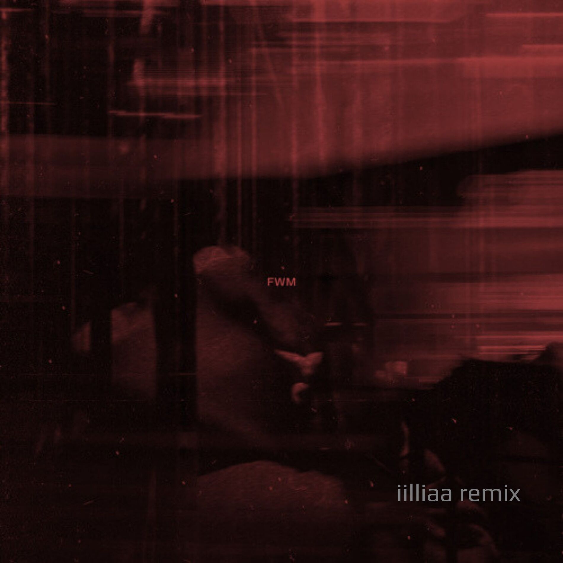 Album cover of FWM (Not Really Me) iilliaa Remix