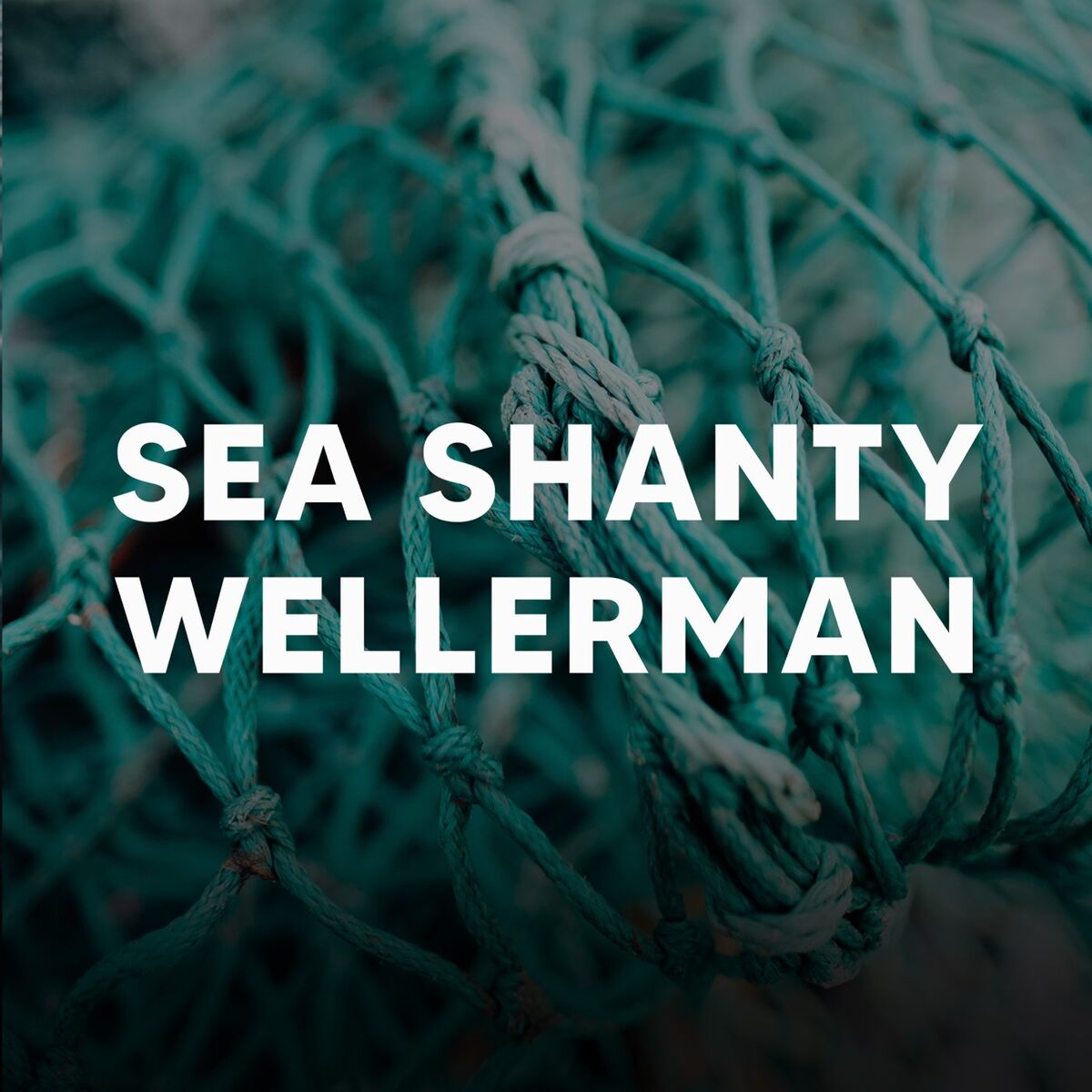 Album cover of Sea Shanty Wellerman
