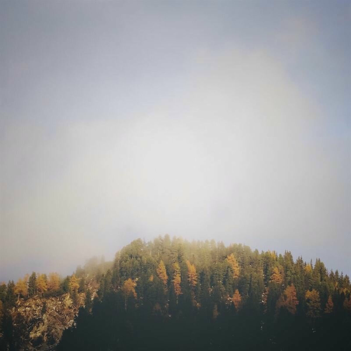 Album cover of What a Wonderful World