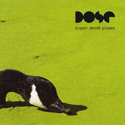 Cover of Bigger Shoes Please