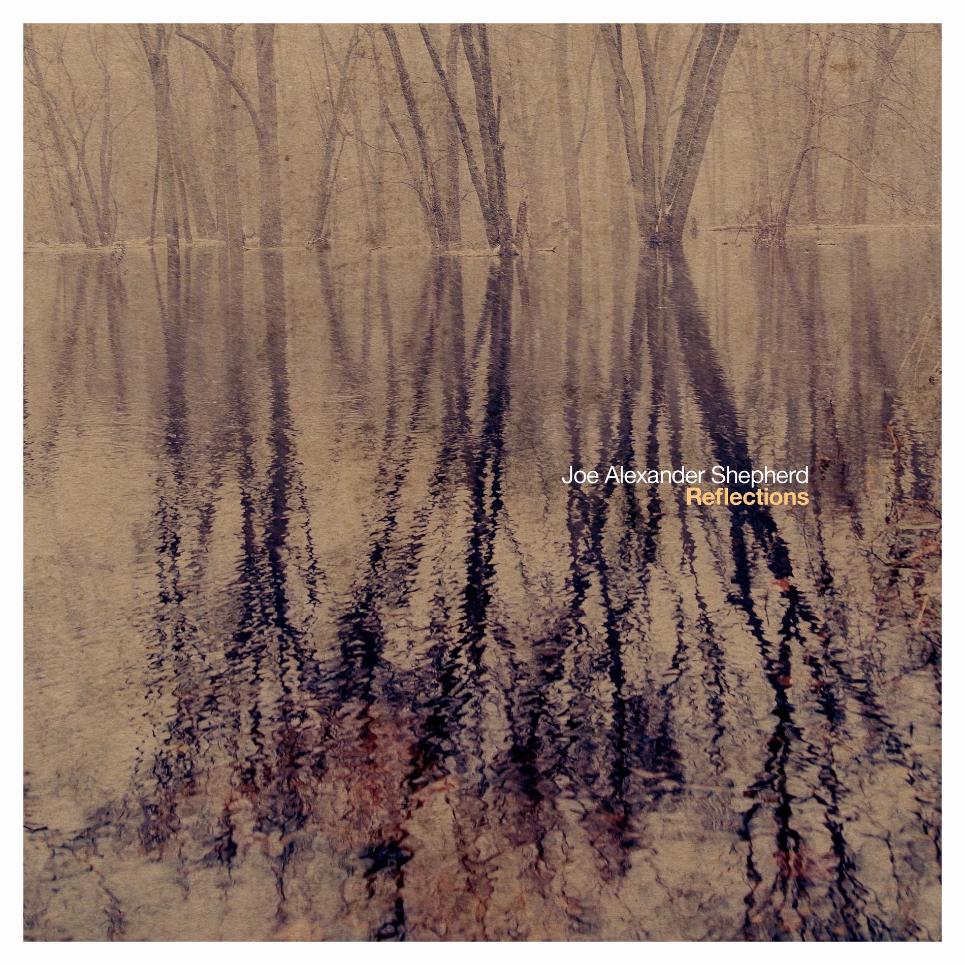 Album cover of Into the Dark