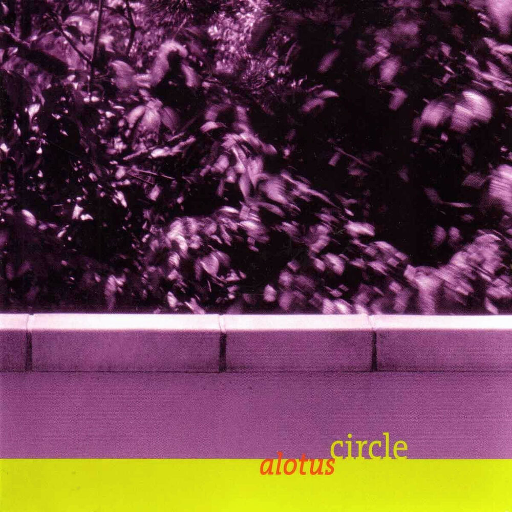 Picture of Alotus