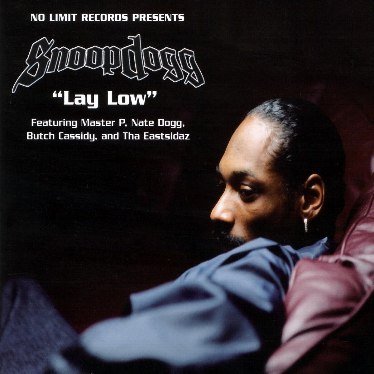Album cover of Lay Low