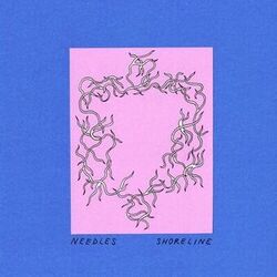 Cover of Needles