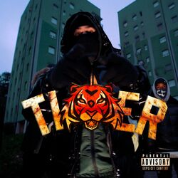 Cover of Tiger