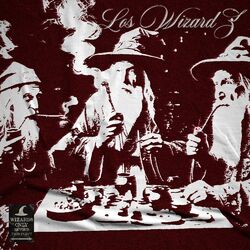 Cover of Los Wizards