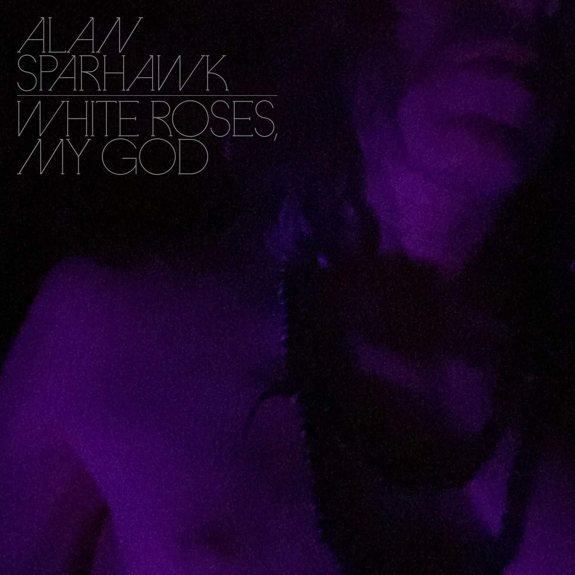 Album cover of White Roses, My God