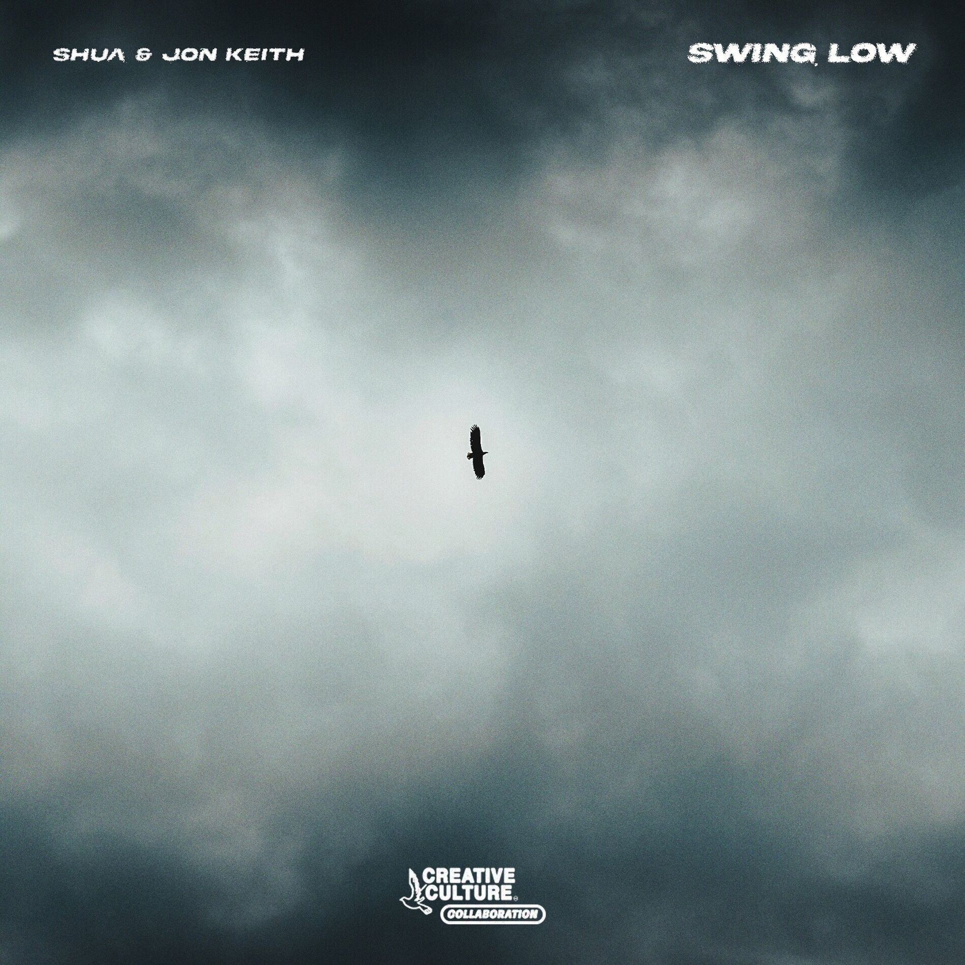 Album cover of Swing Low