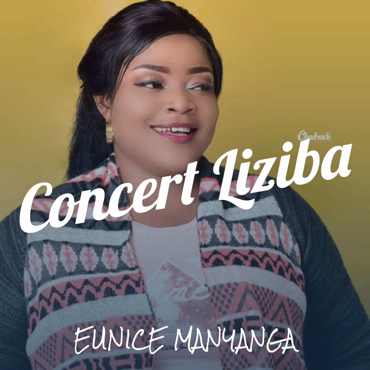 Album cover of Concert Liziba