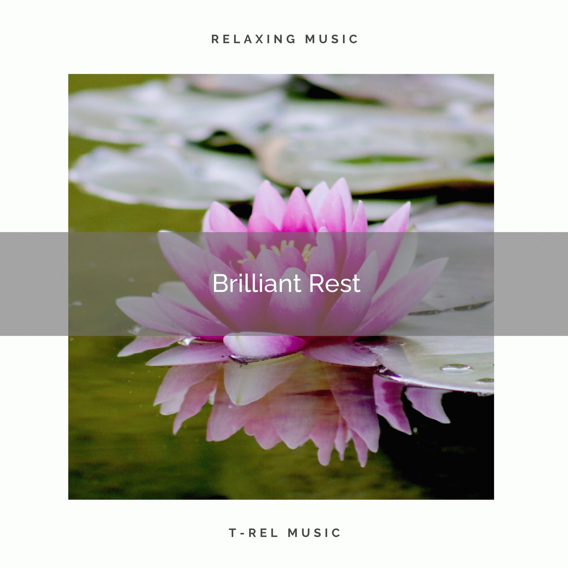 Album cover of ! ! ! ! ! Brilliant Rest