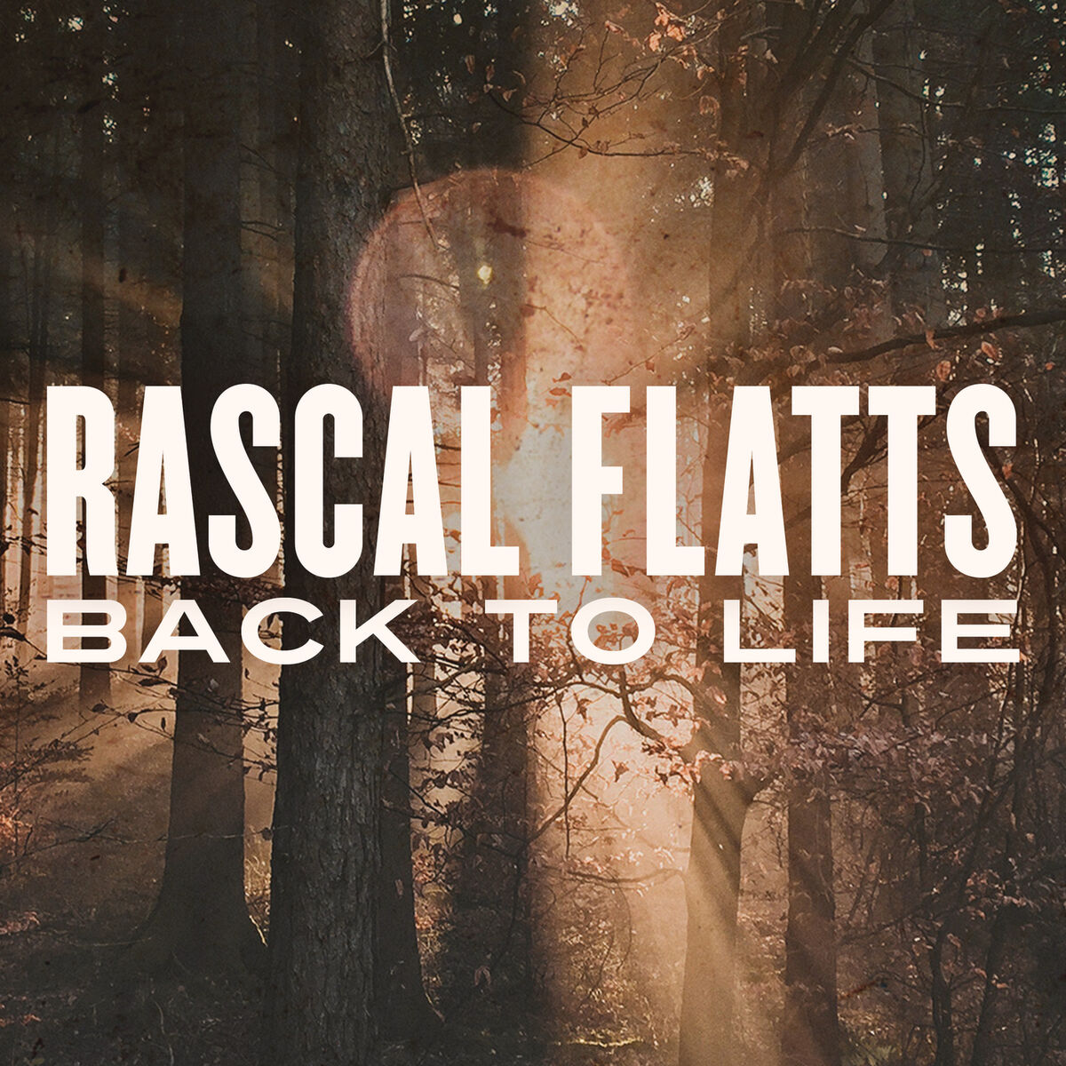 Album cover of Back To Life