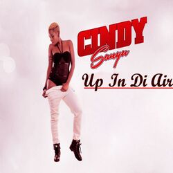 Cover of Up in Di Air