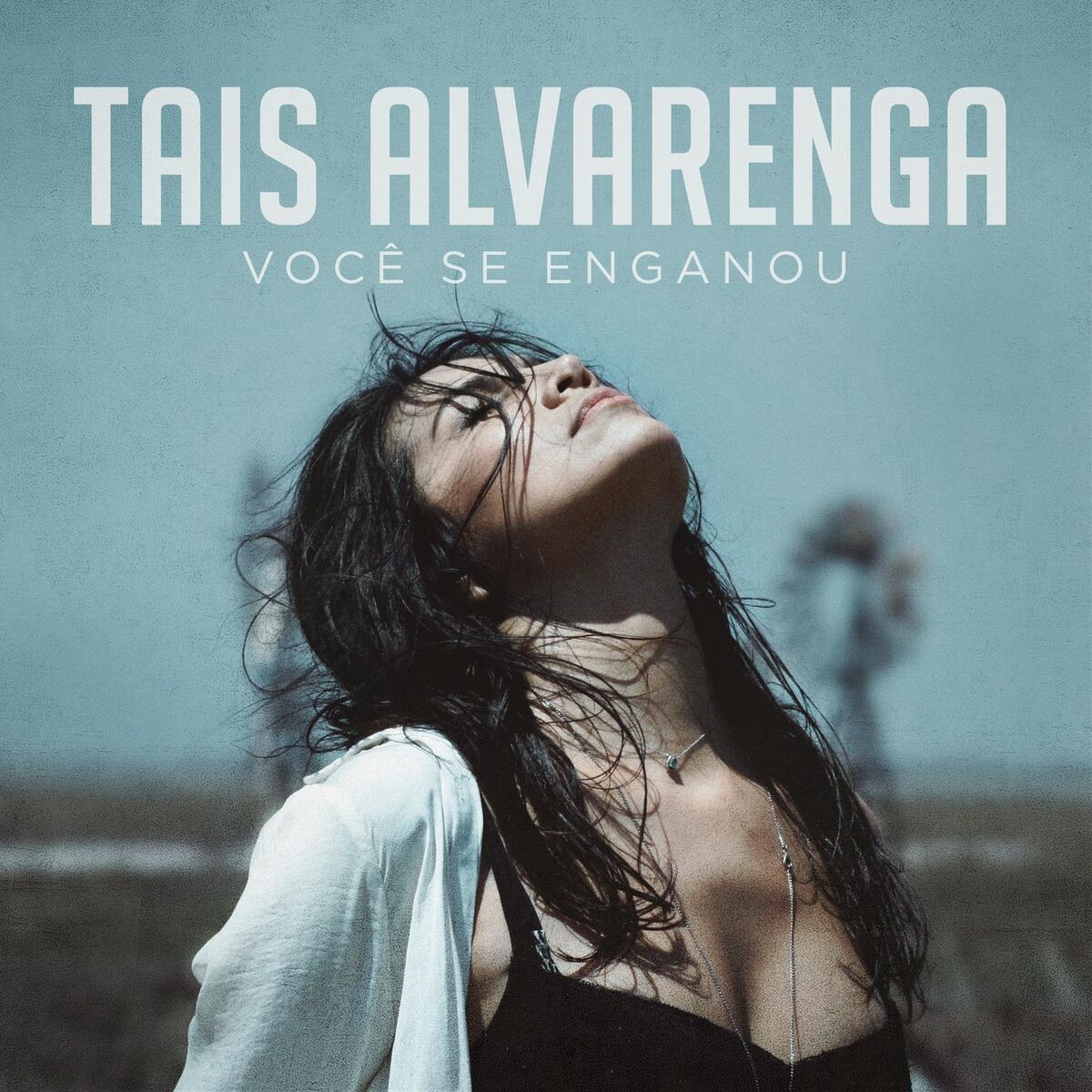 Album cover of Você Se Enganou
