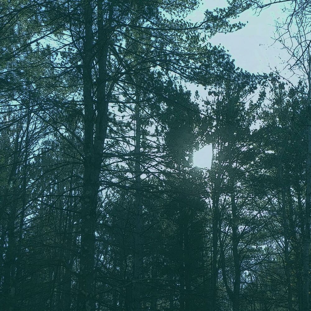 Picture of Vacant