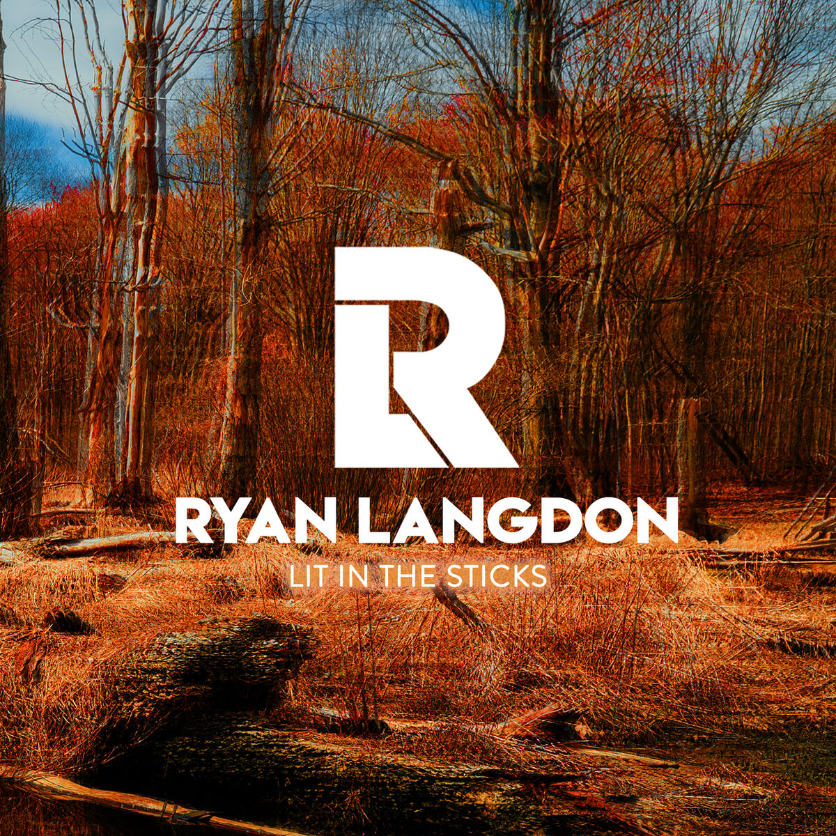 Album cover of Lit In The Sticks