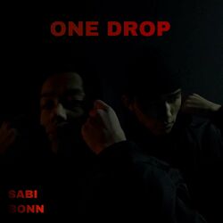 Cover of One Drop