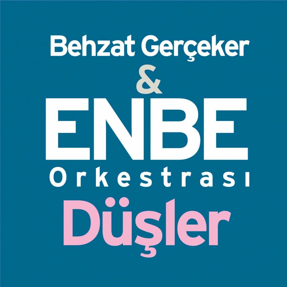 Album cover of Düşler