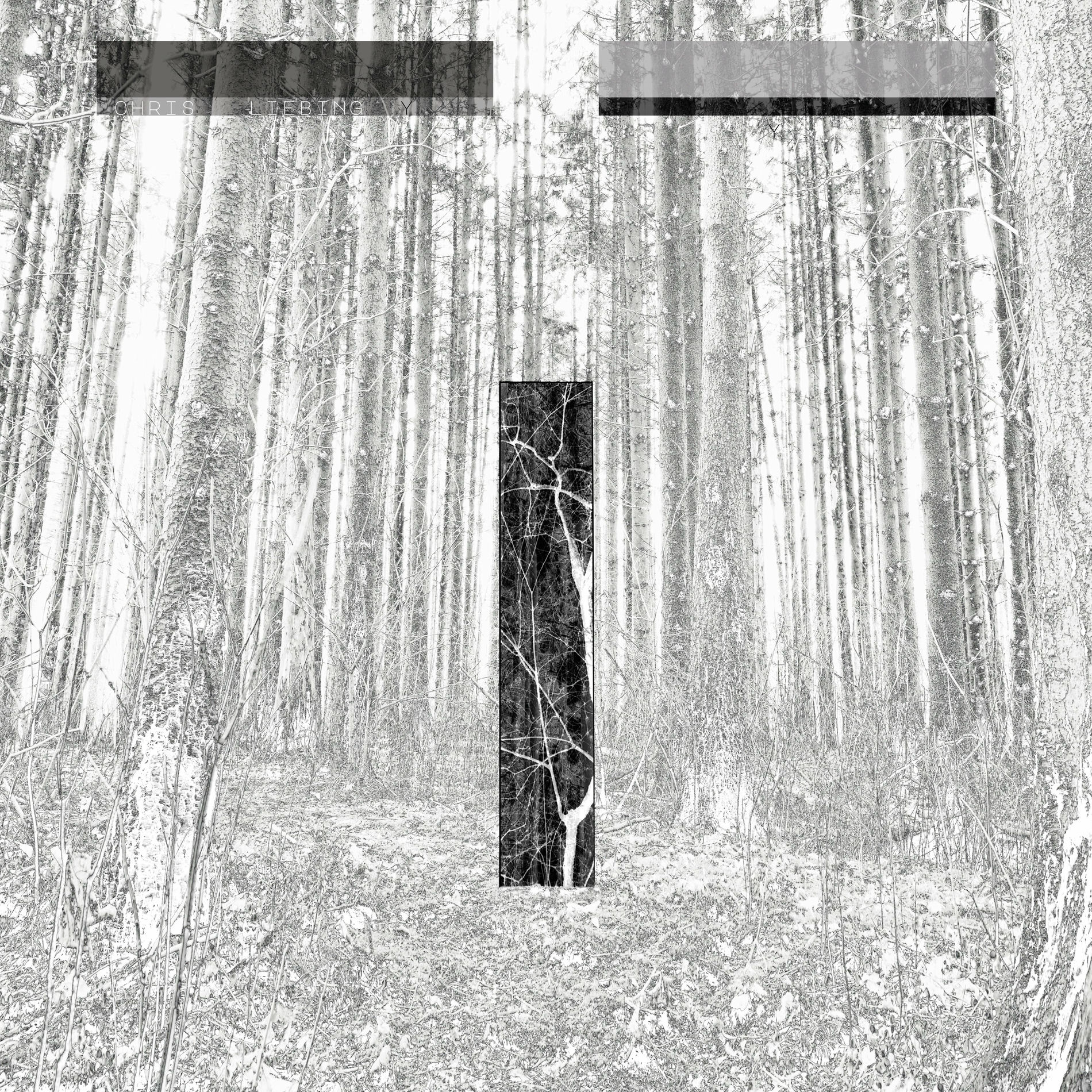 Album cover of Circles