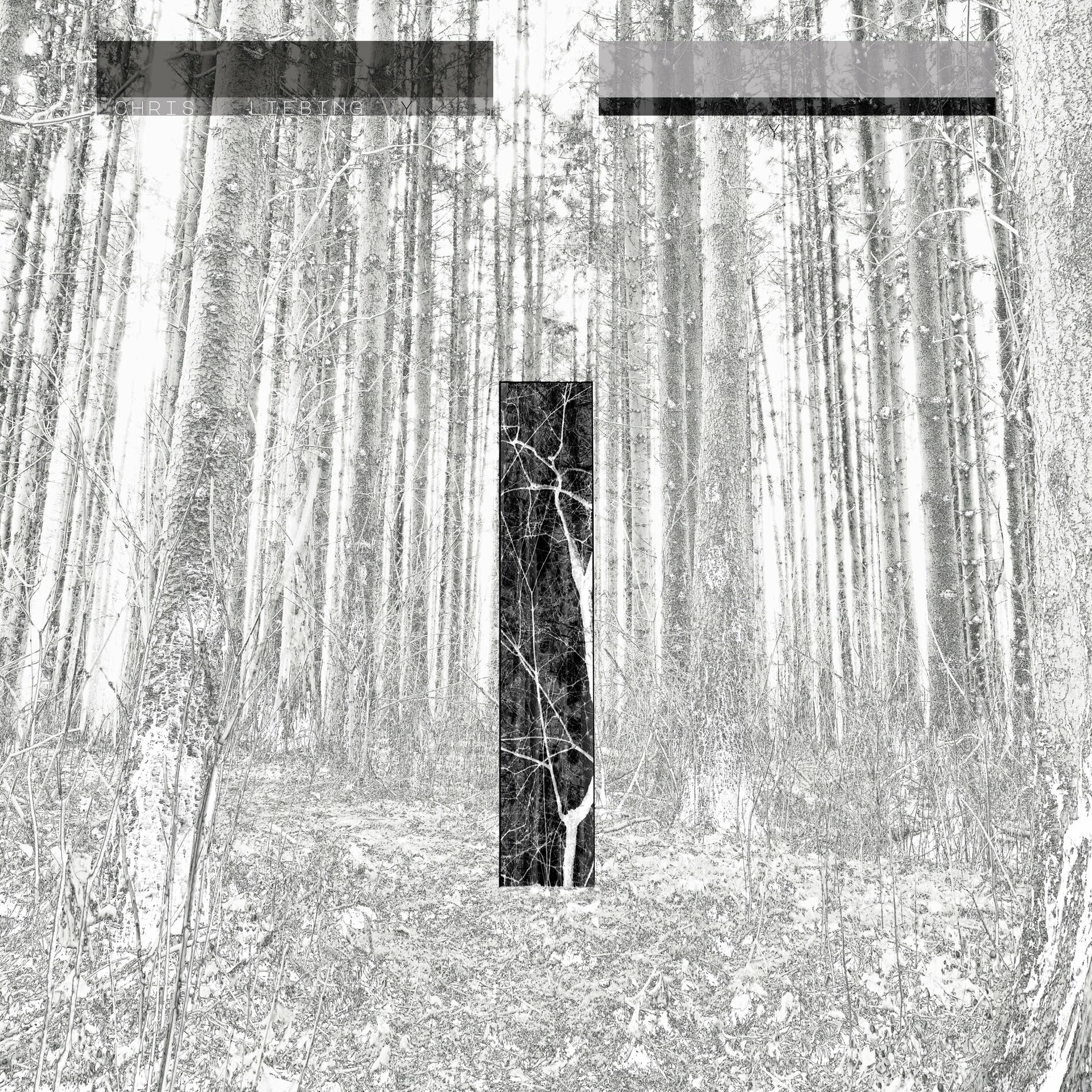 Album cover of Circles (Jan Blomqvist Remix)