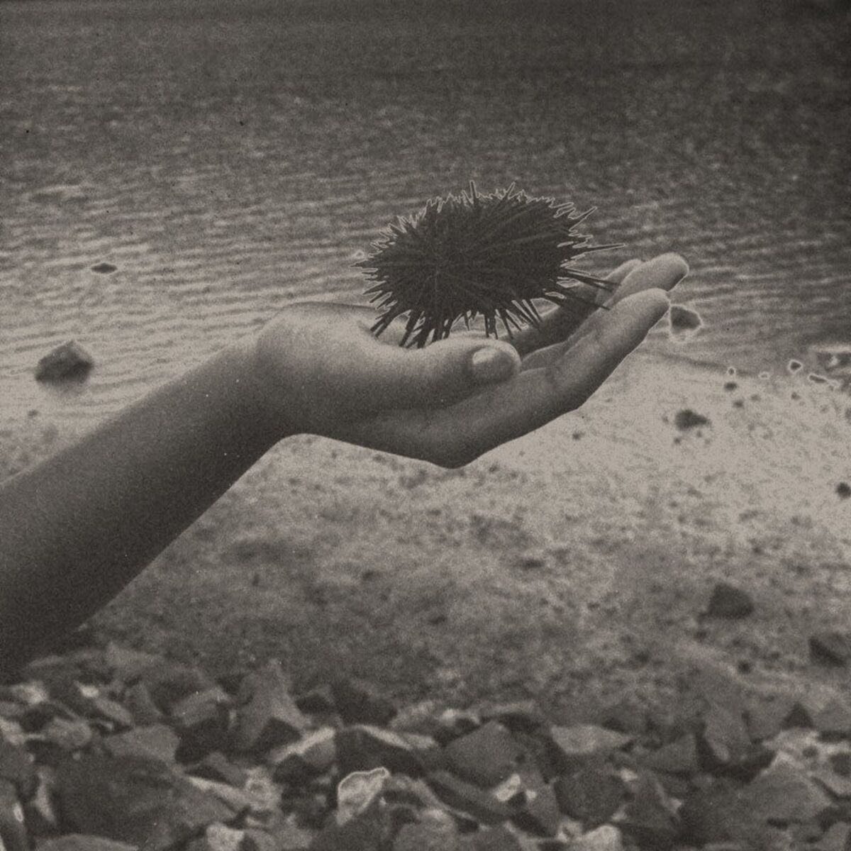 Album cover of Cais