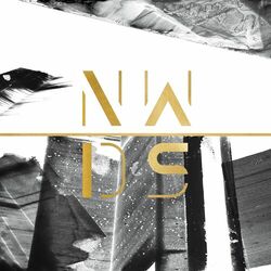 Cover of Waterfall