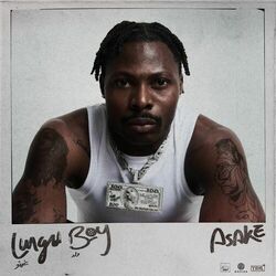 Cover of Lungu Boy