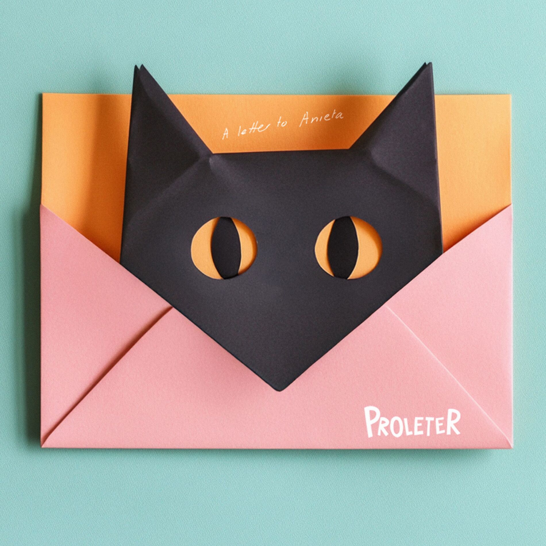 Album cover of A letter to Anieta
