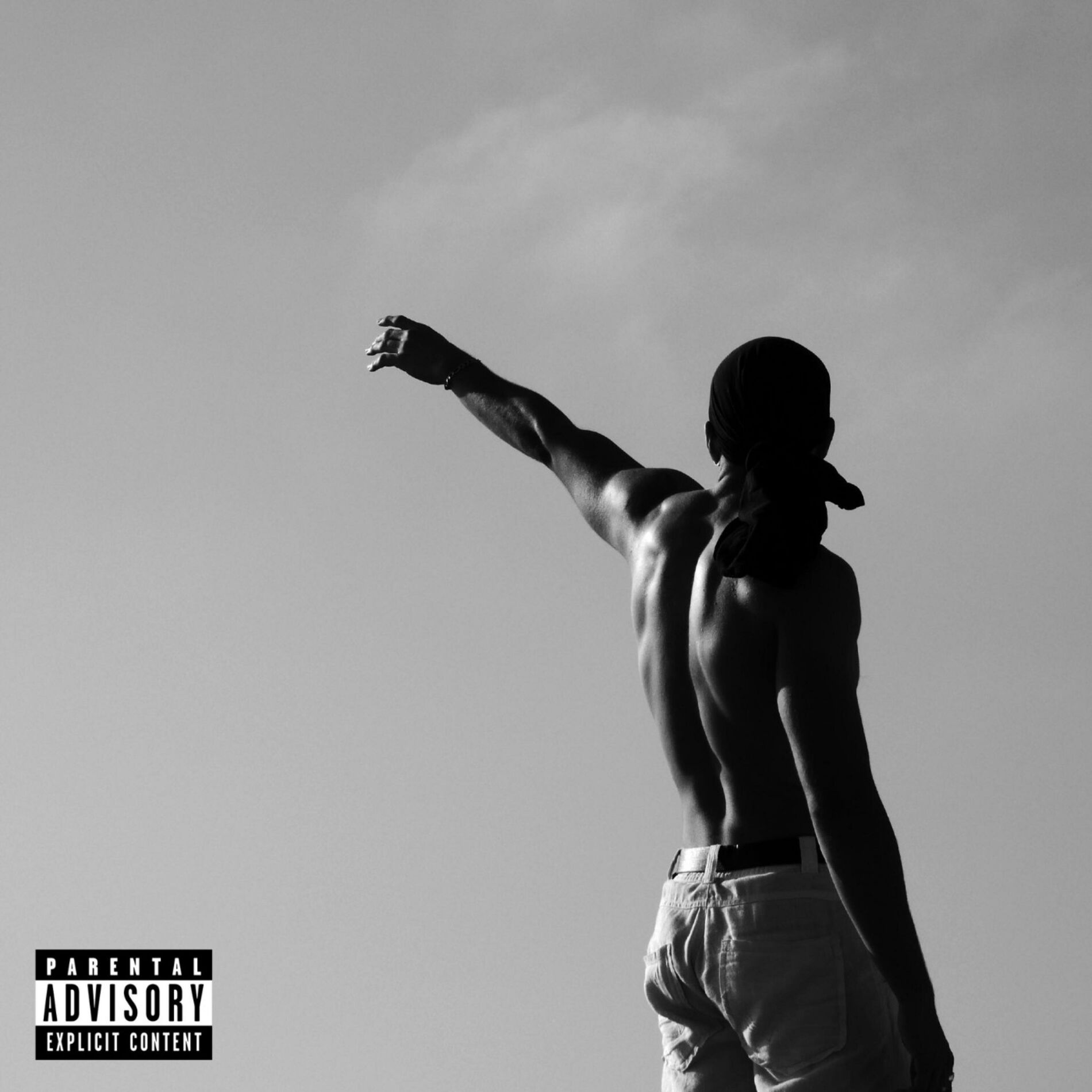 Album cover of Cicatrices
