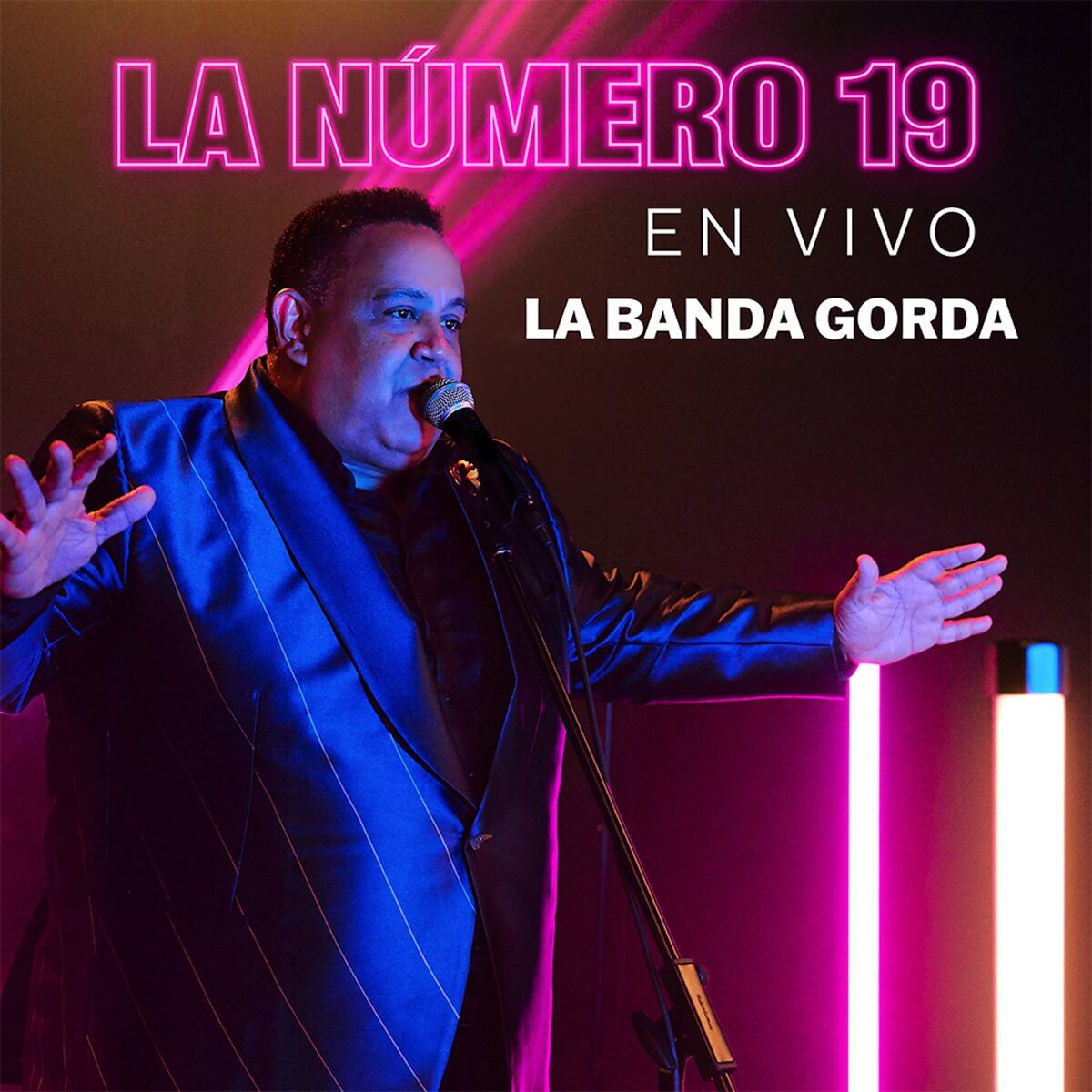 Album cover of La Número 19 (En Vivo)