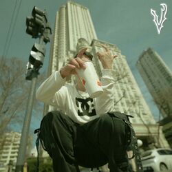 Cover of Caigo Para Arriba