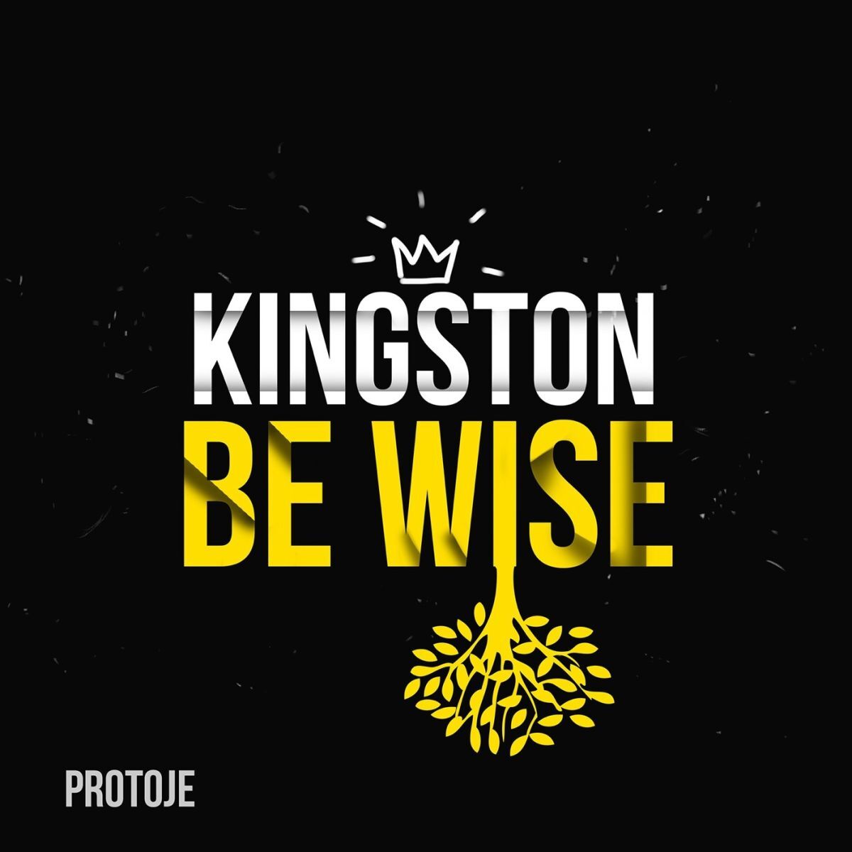 Album cover of Kingston Be Wise