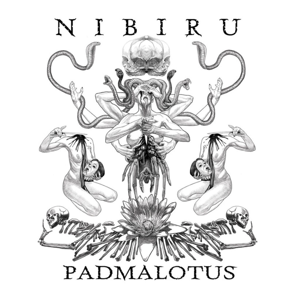 Picture of Padmalotus