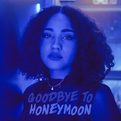 Cover of Goodbye to Honeymoon