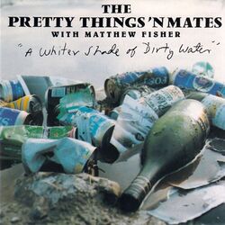 Cover of A Whiter Shade Of Dirty Water