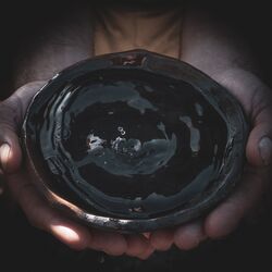 Cover of Aguas Adentro