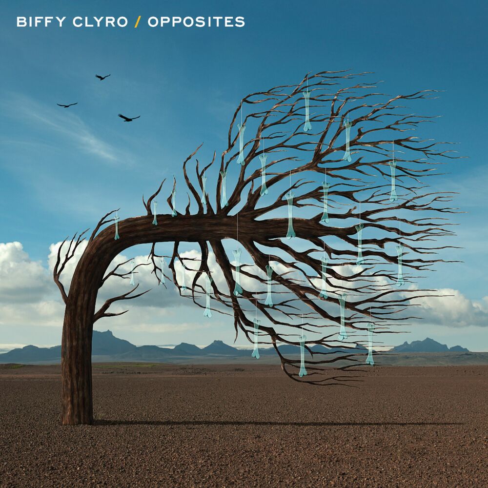 Picture of Opposites (Deluxe)