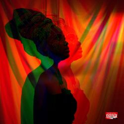 Cover of Odoyewu