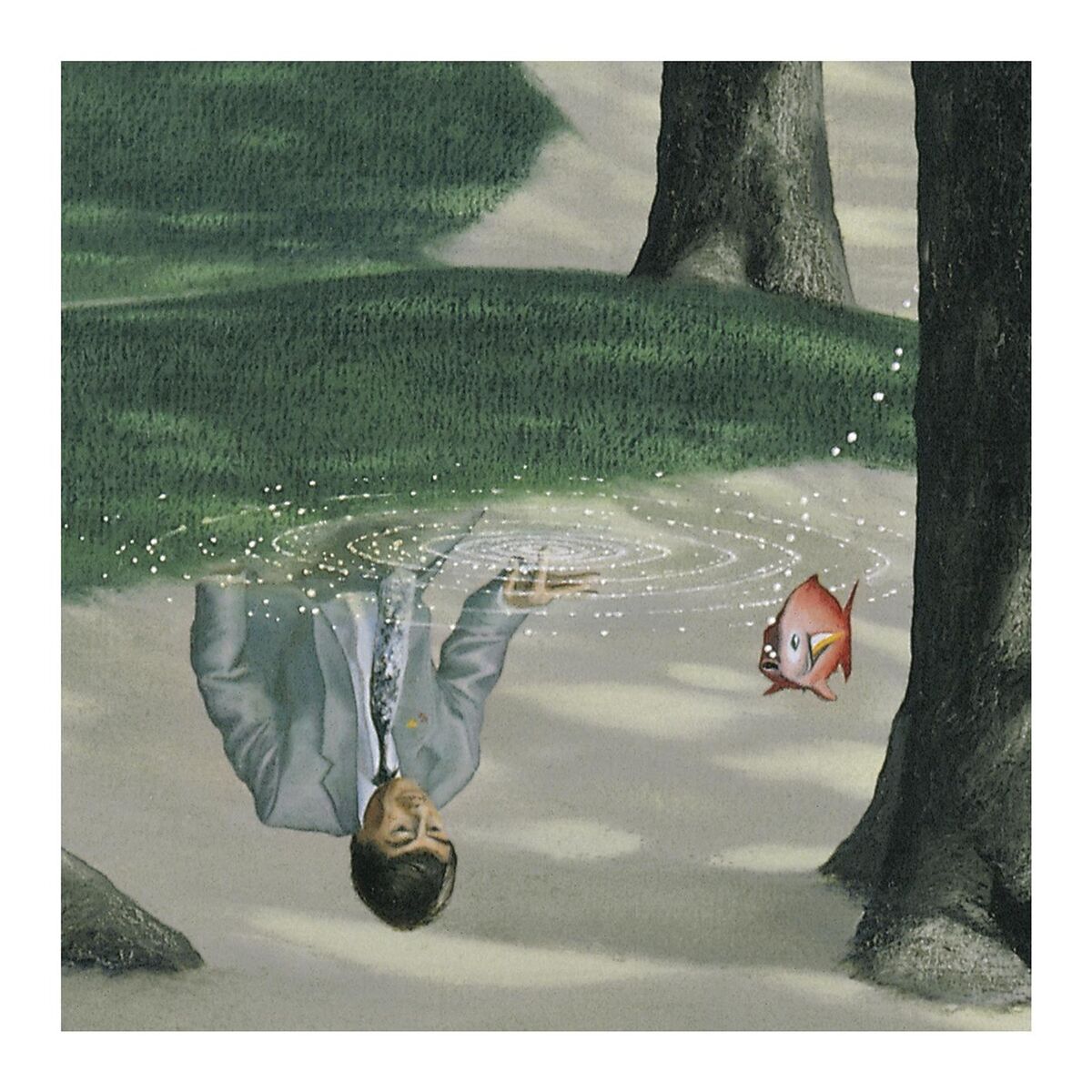 Album cover of Night Bird (petit monstre)