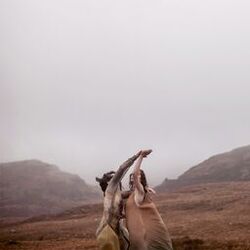Cover of only tenderness between us