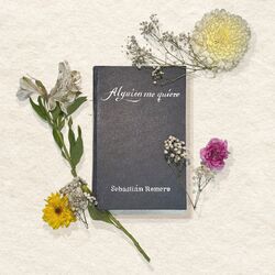 Cover of Alguien Me Quiere