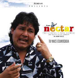 Cover of Tu Vives Equivocada