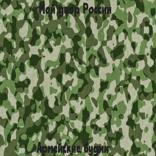 Армейские будни