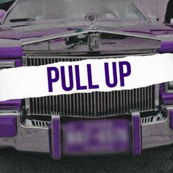 Cover of Pull Up