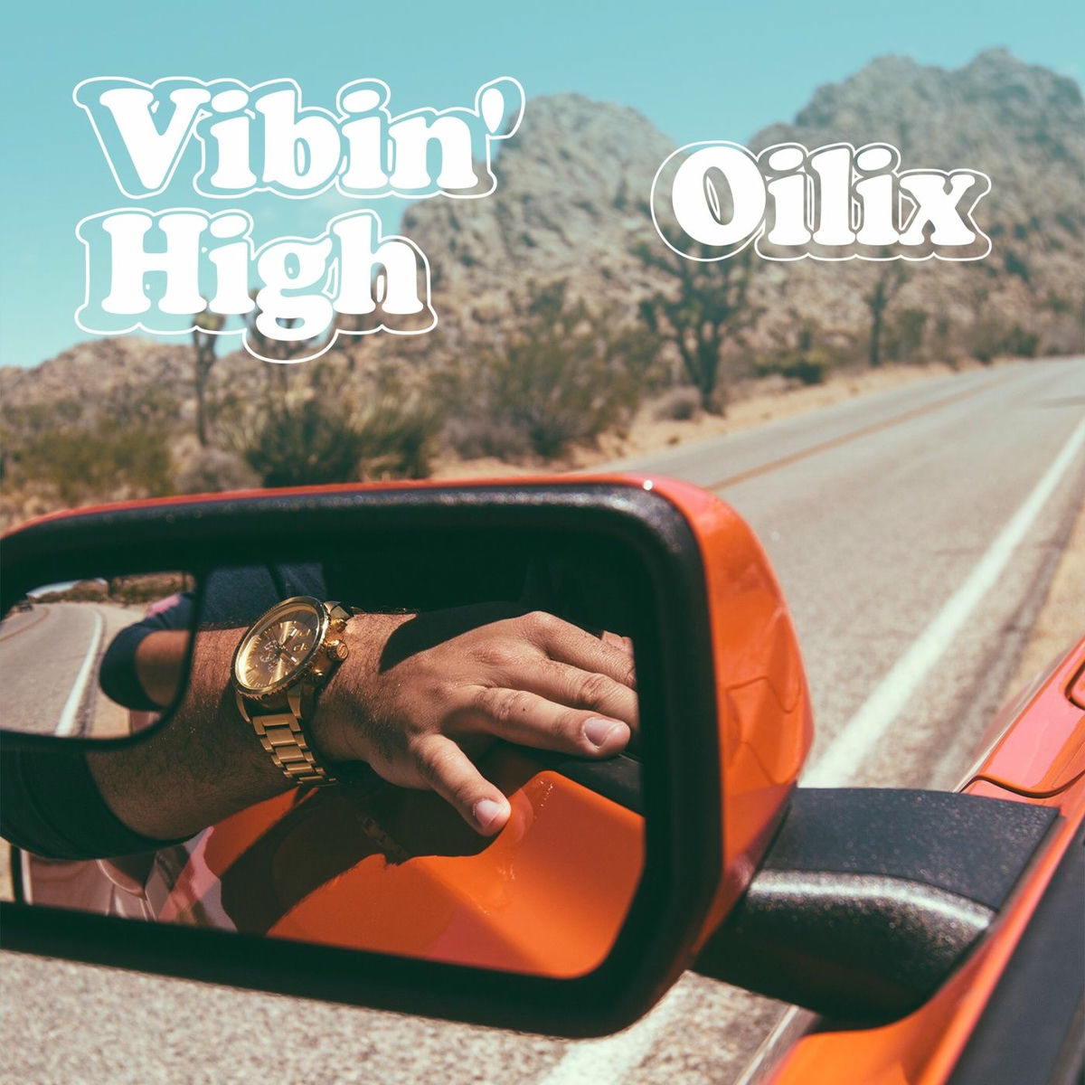 Album cover of Vibin' High