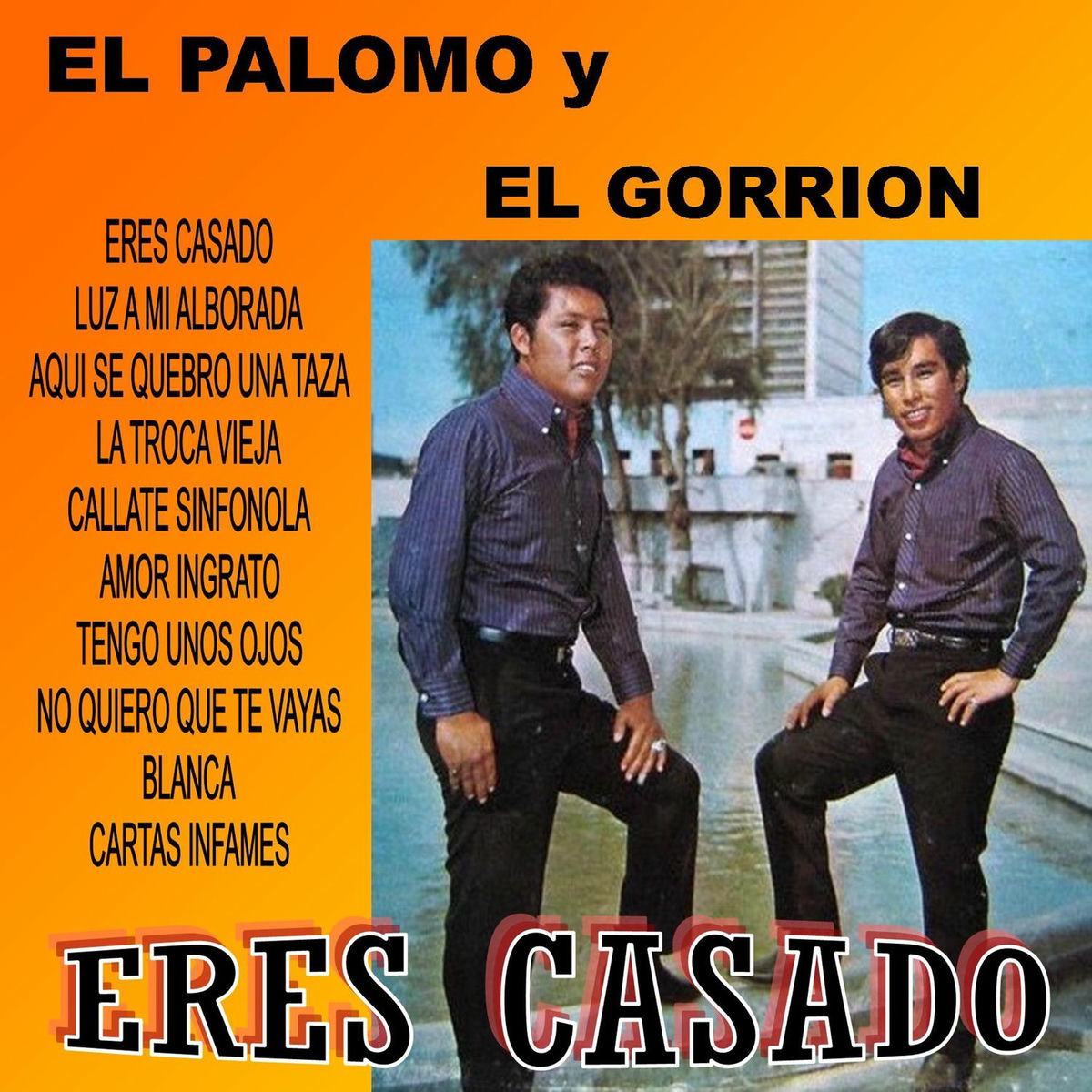 Album cover of Luz de Mi Alborada