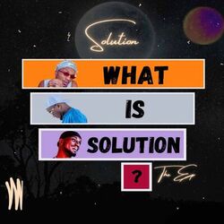 Cover of What is Solution?