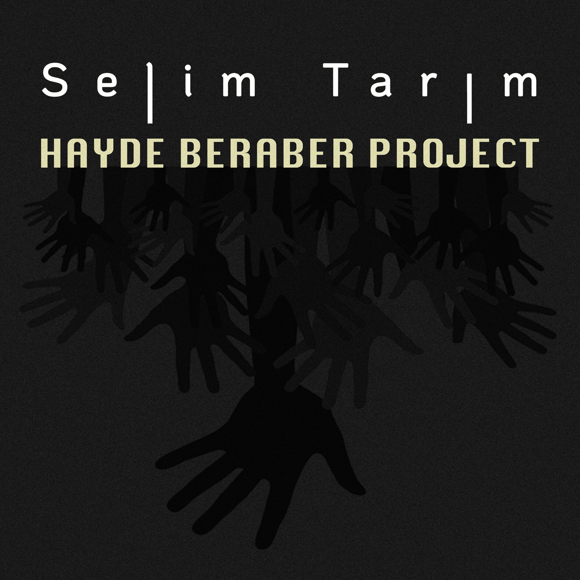 Album cover of Hayde Beraber Project
