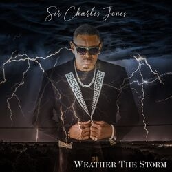 Cover of Weather The Storm